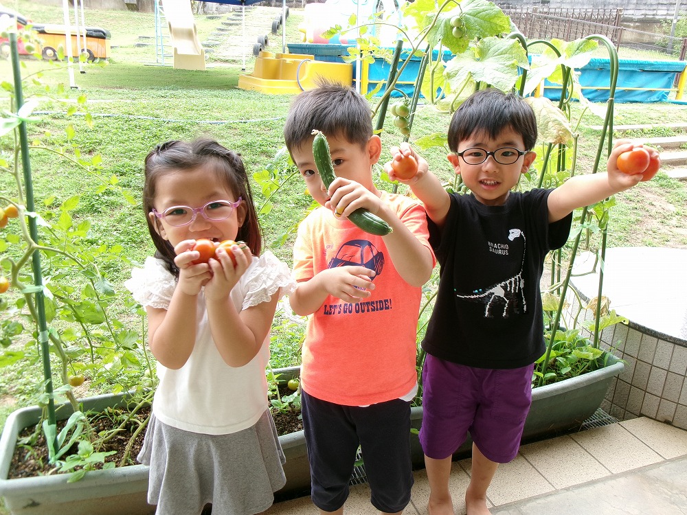 幼児の生活